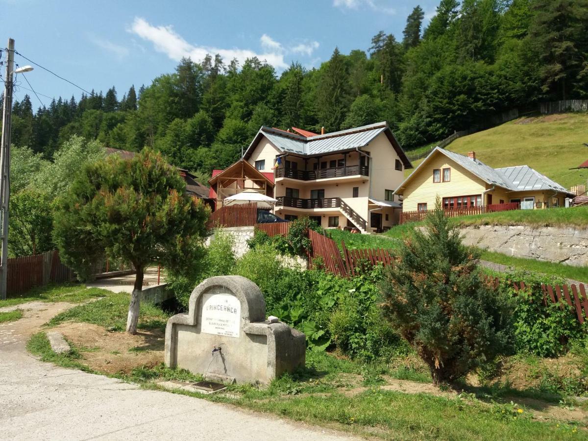 Hotel Lip Si Ely Dîmbovicioara Exteriér fotografie
