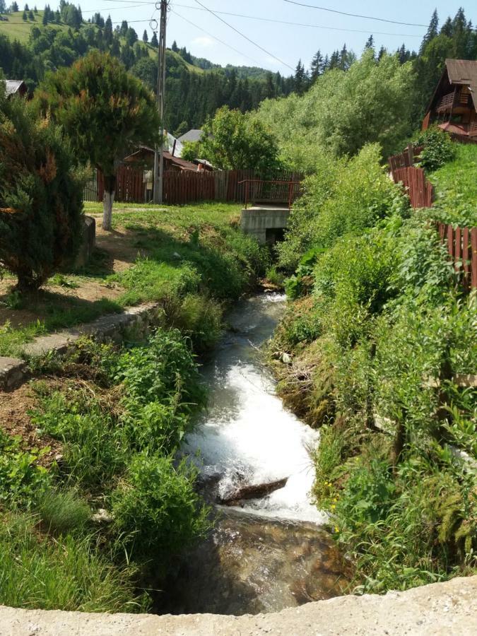 Hotel Lip Si Ely Dîmbovicioara Exteriér fotografie