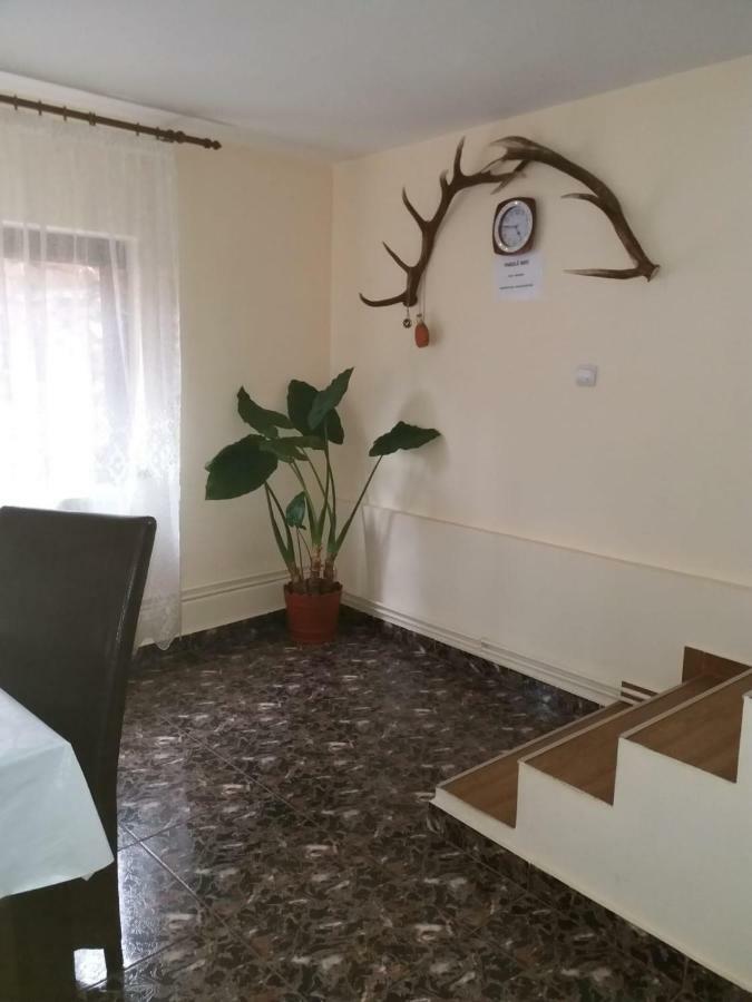 Hotel Lip Si Ely Dîmbovicioara Exteriér fotografie
